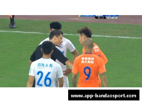 日本外裔球员：跨越边界的运动之星