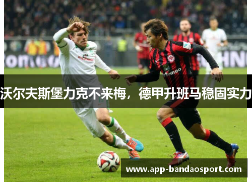 沃尔夫斯堡力克不来梅，德甲升班马稳固实力