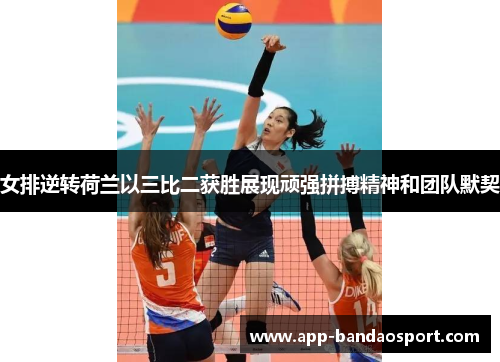 女排逆转荷兰以三比二获胜展现顽强拼搏精神和团队默契